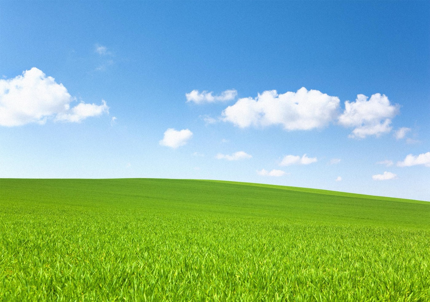 A green meadow under a blue sky with white clouds